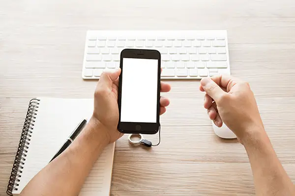 青木的含义是什么